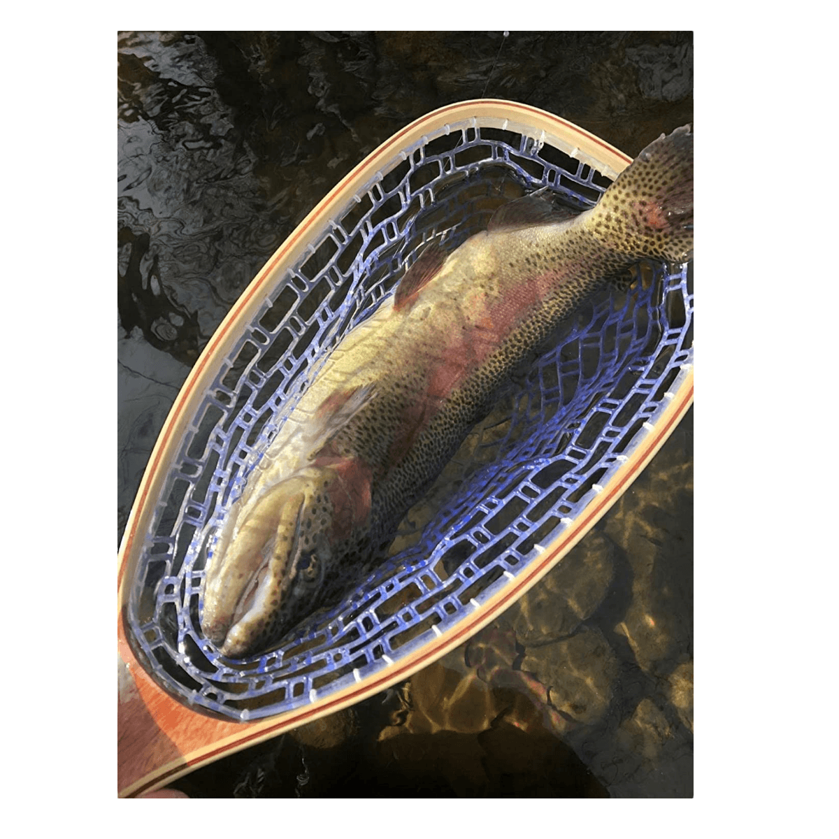 Chinguillo Malla Silicona Marco Madera RCT11