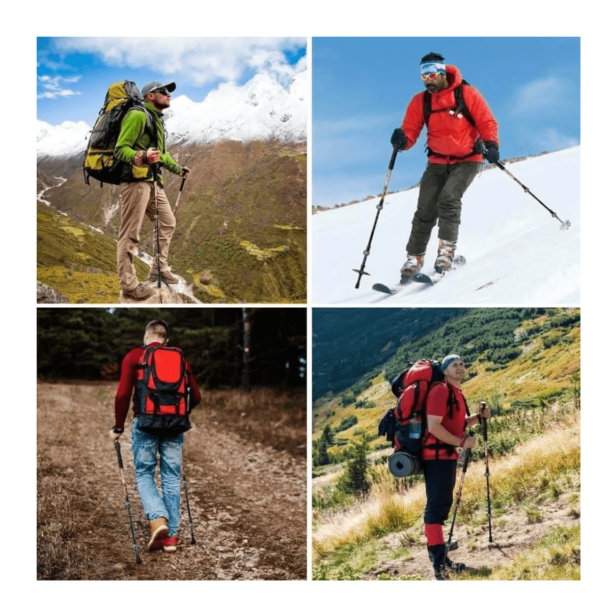 Bastones trekking 2pack aluminio 3 Tramos Antishock BTK2