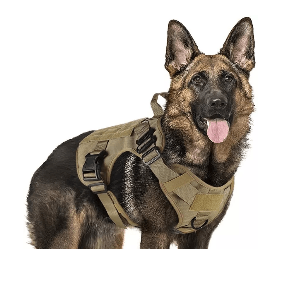 Arnes chaleco tactico mascota ATP1