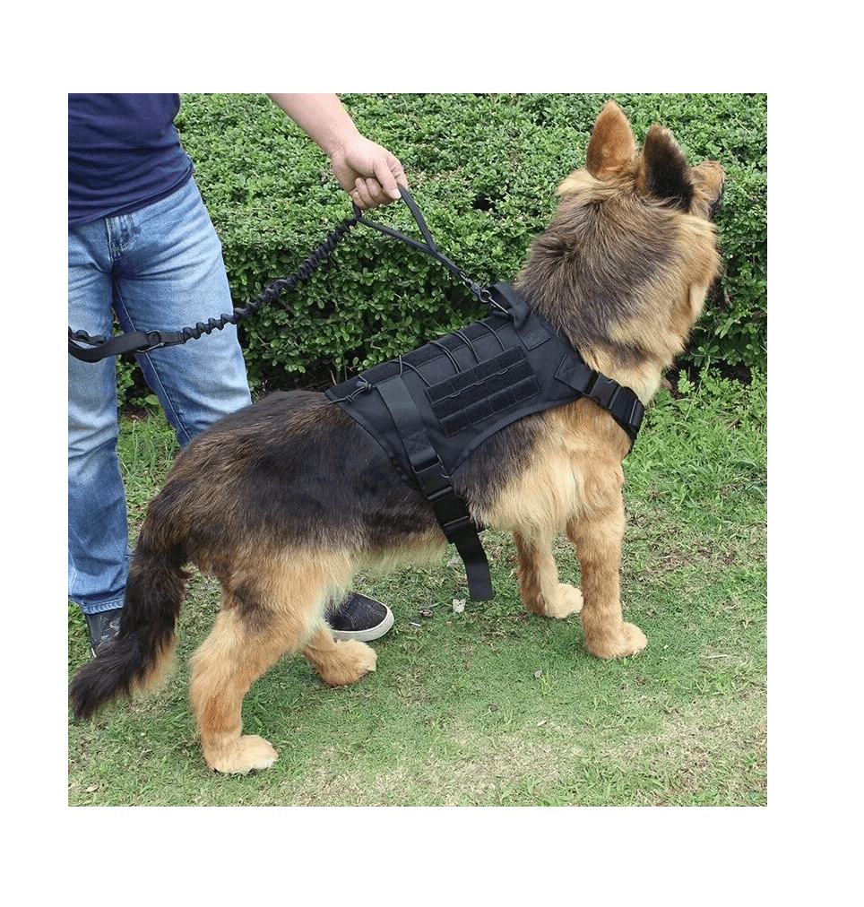 Arnes chaleco tactico mascota ATP1
