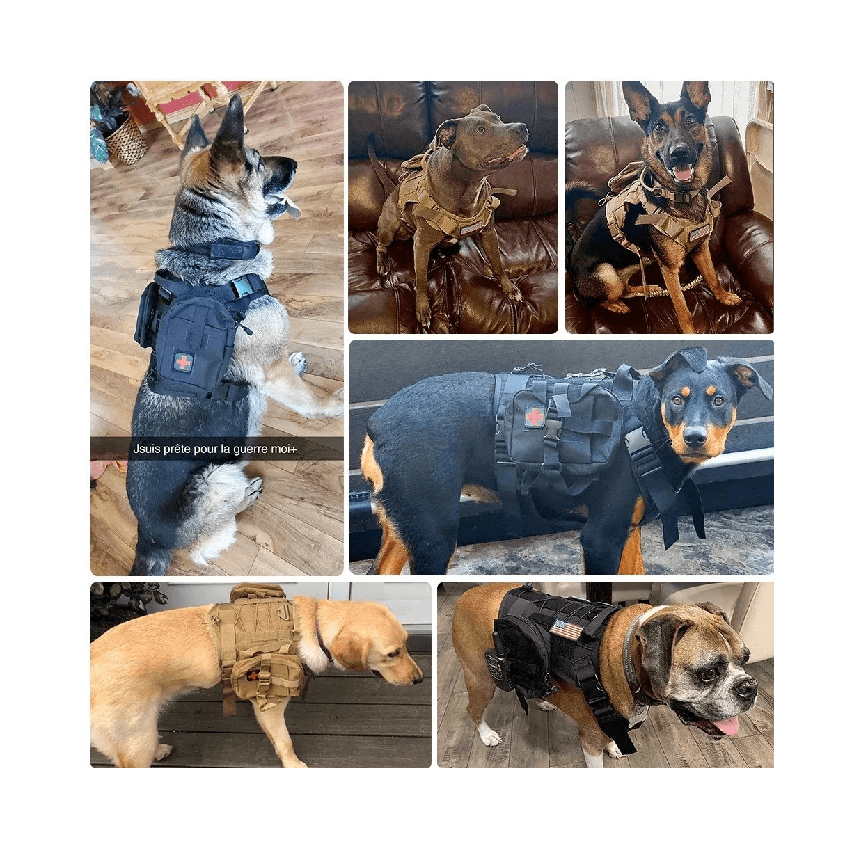 Arnes chaleco tactico mascota ATP1