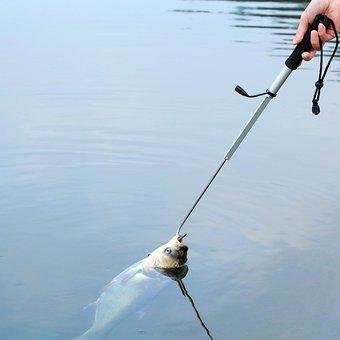 Gancho Pesca Telescopico Acero Inoxidable 89cm HRR5