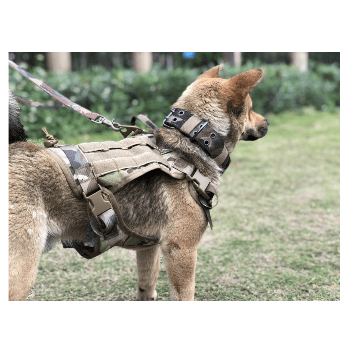 Arnes multicam chaleco tactico mascota ATP2