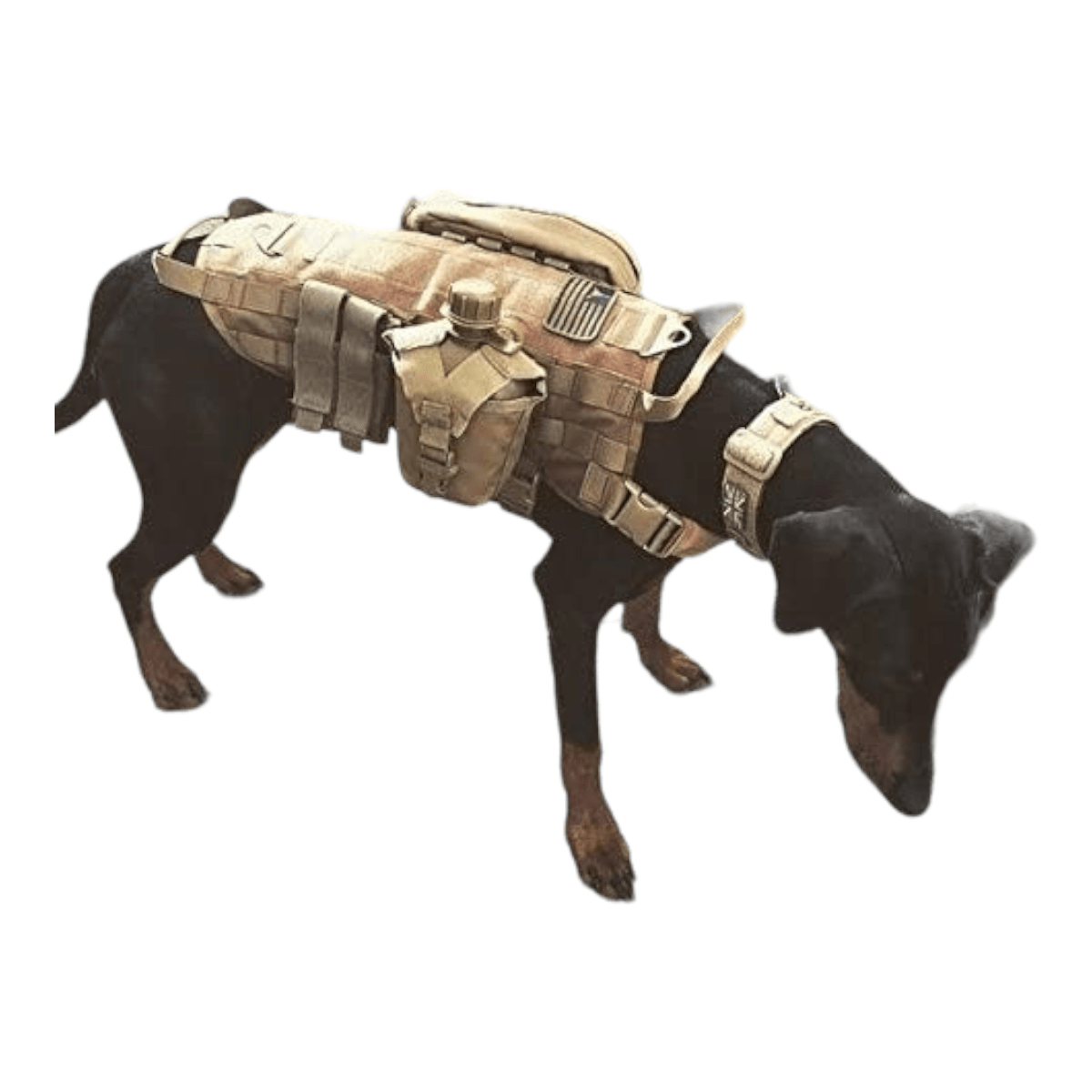 Arnes chaleco tactico mascotas ATP3