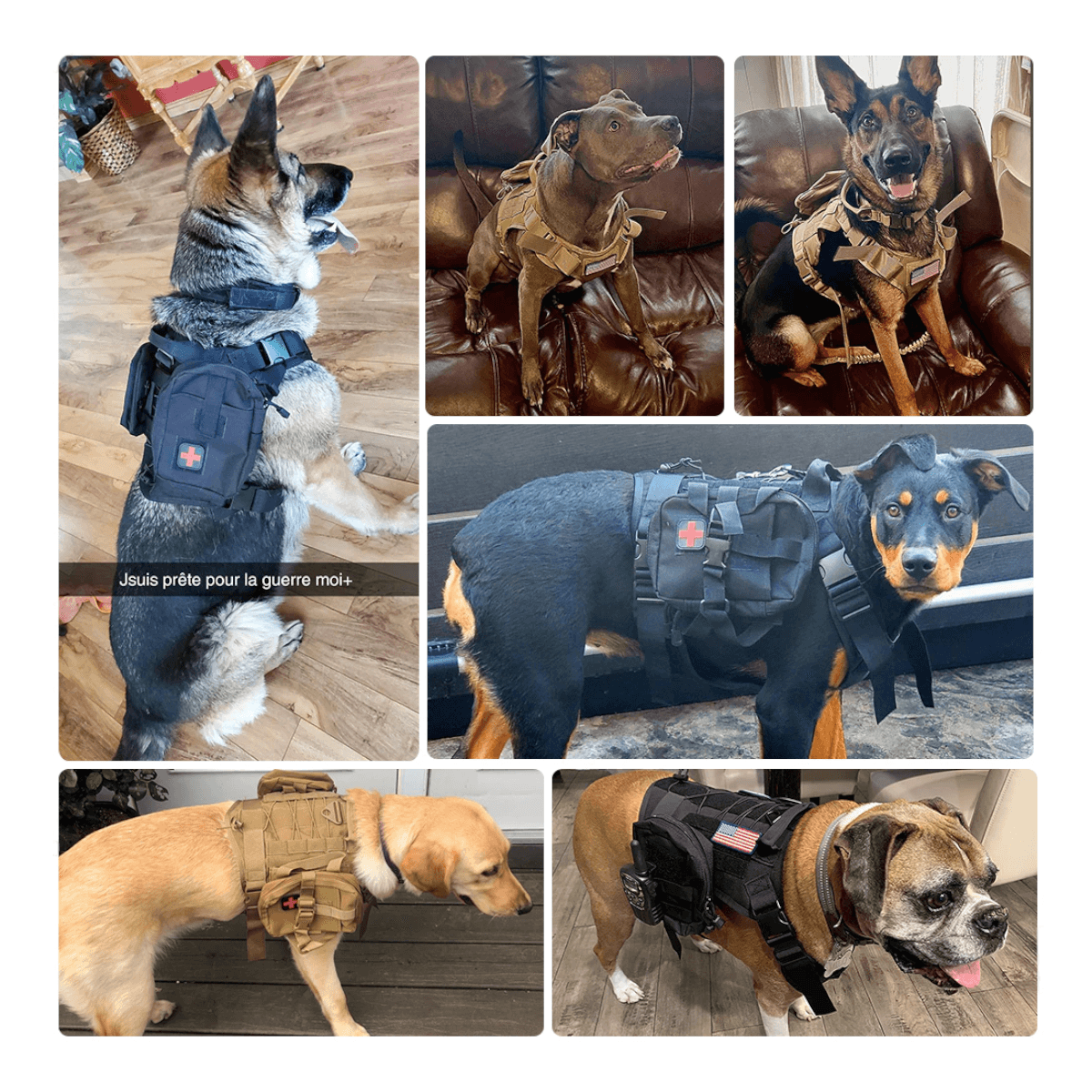 Arnes multicam chaleco tactico mascota ATP2