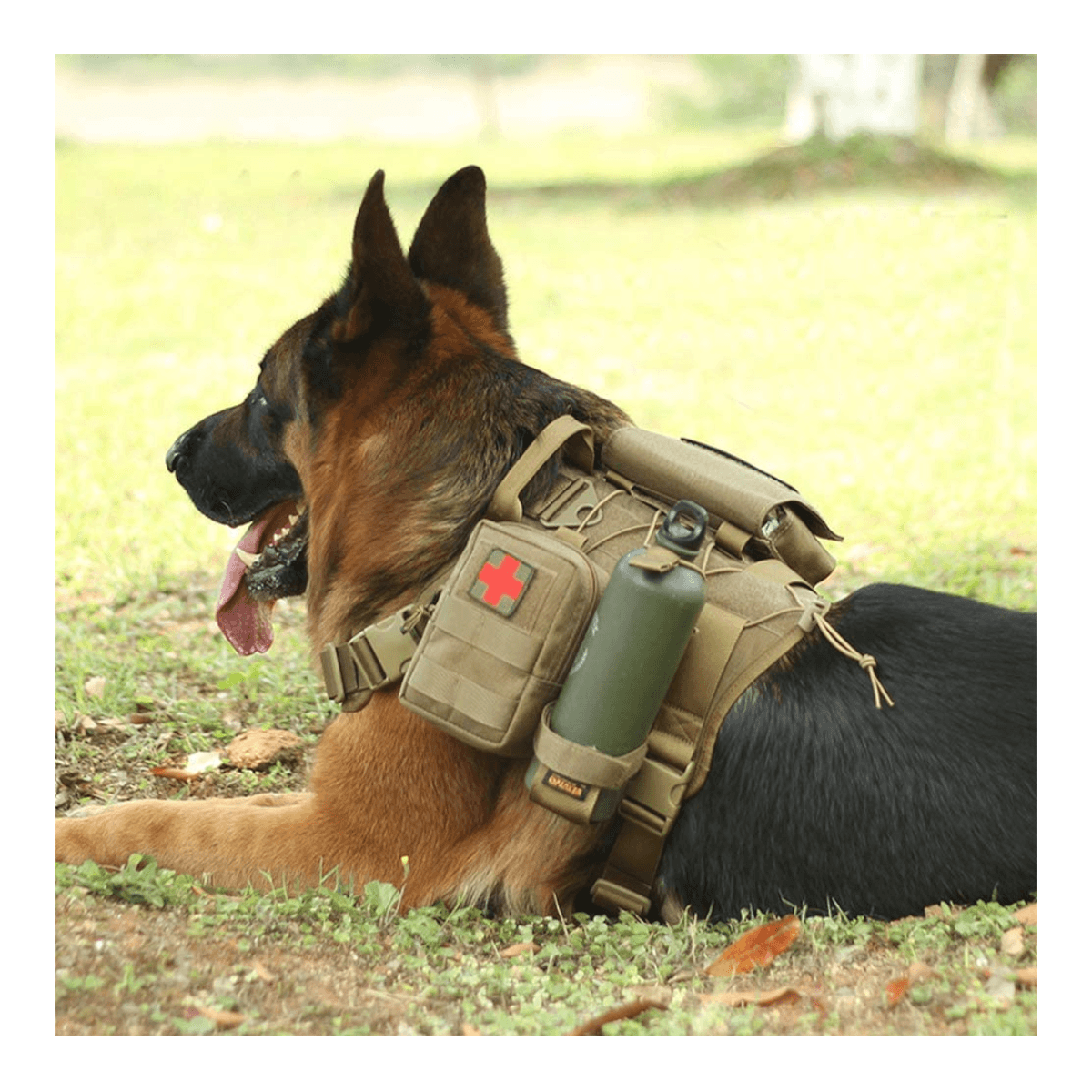Arnes multicam chaleco tactico mascota ATP2