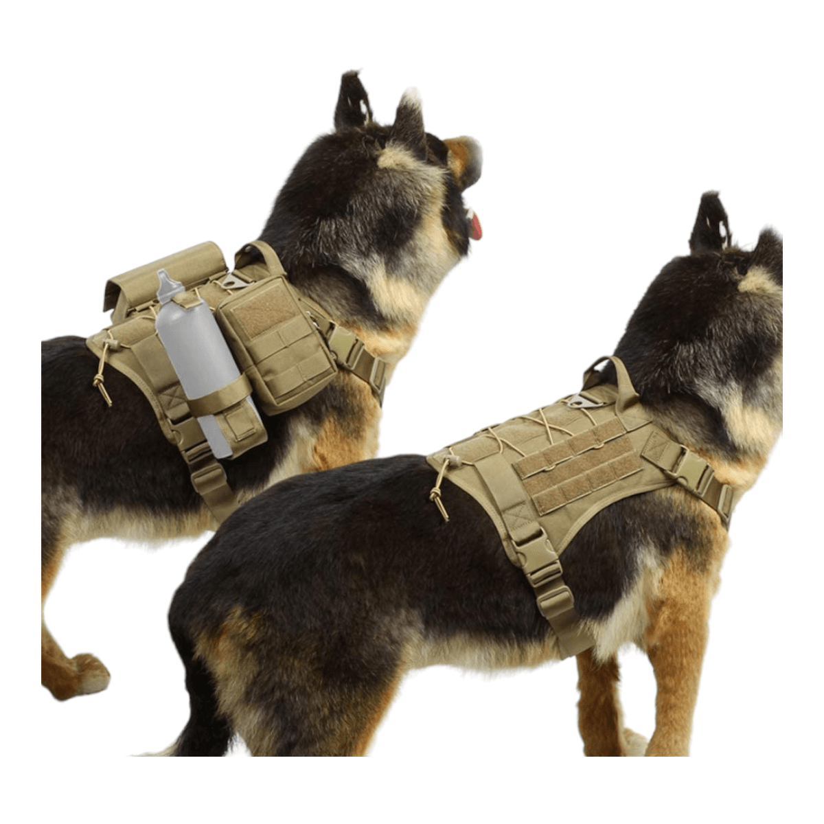 Arnes multicam chaleco tactico mascota ATP2