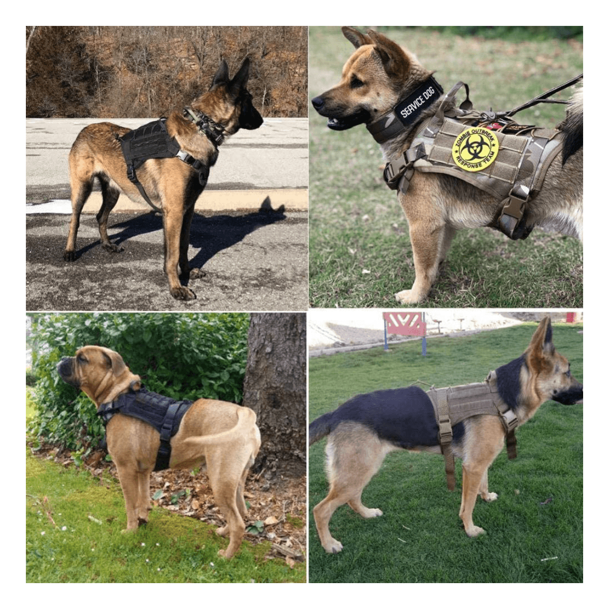 Arnes multicam chaleco tactico mascota ATP2