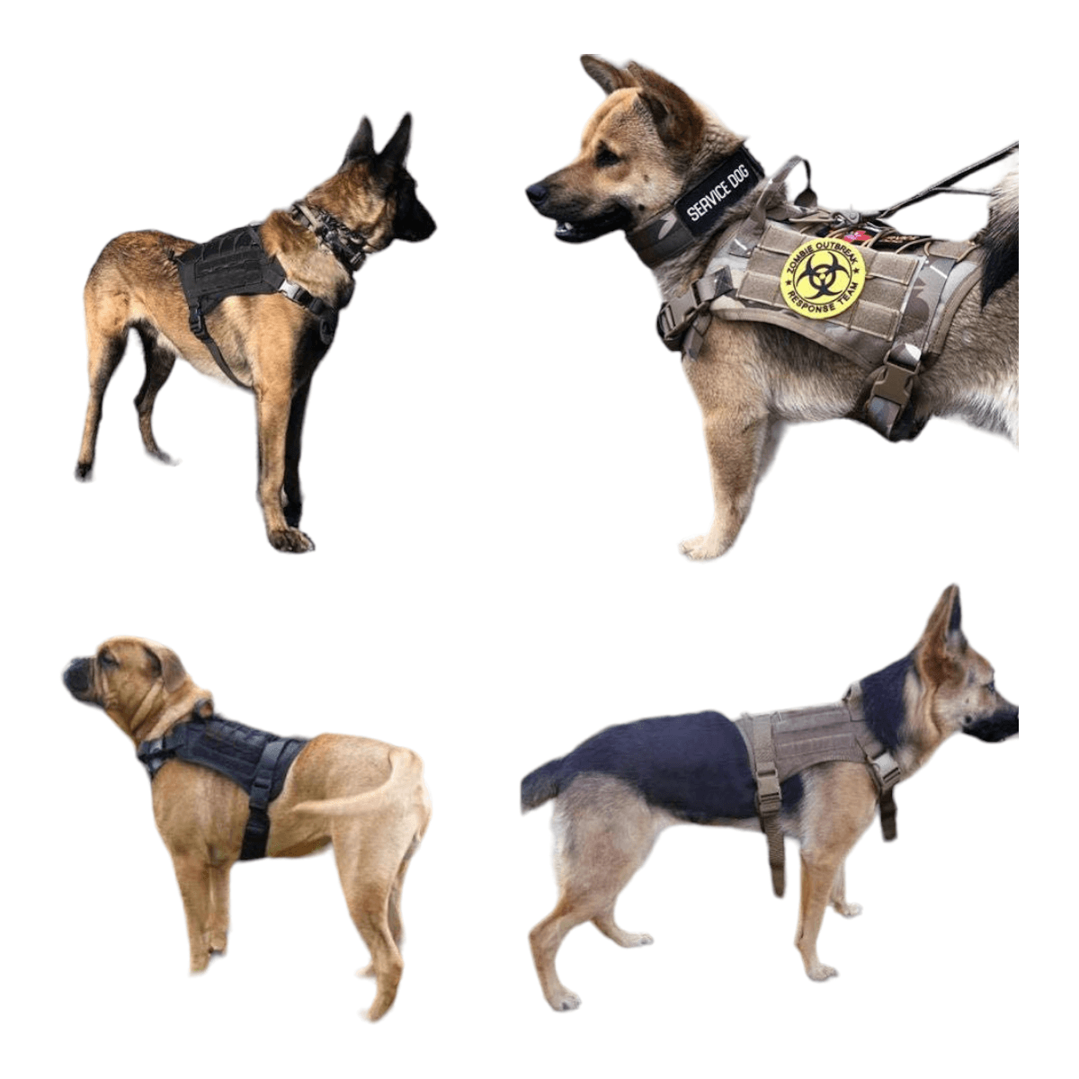 Arnes multicam chaleco tactico mascota ATP2