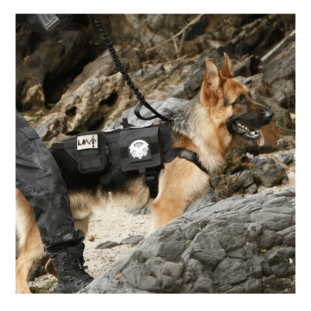 Arnes chaleco tactico mascotas ATP3