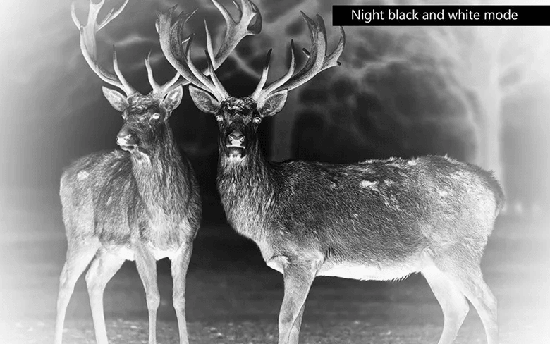 Monocular Visor - Visión Nocturna 5x40 BM2