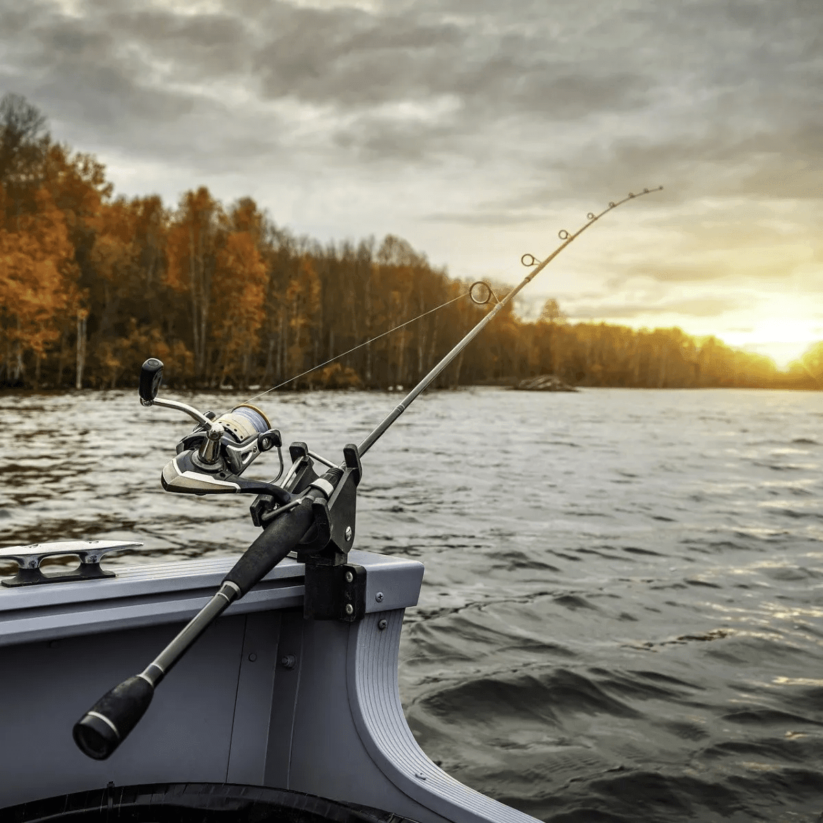 Pesca y Caza